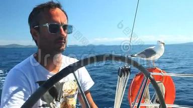 在克罗地亚海岸外的亚得里亚海上与海鸥一<strong>起航</strong>行的船长。