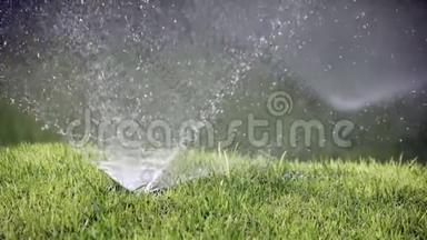 用于喷洒草坪<strong>自动浇水</strong>系统水的喷头
