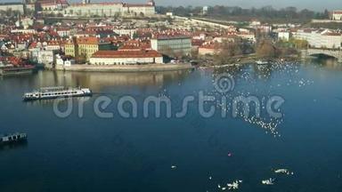伏尔塔瓦河白色天鹅和遥远的旅游船。 捷克共和国，阳光明媚的布拉格。 4K<strong>总览</strong>全景