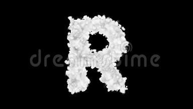 字母R出现白色粒子