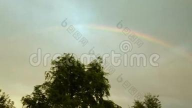 彩虹在天空中，在树的上方，在灰色云的背景下，在雨后