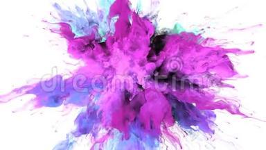 彩色爆炸-彩色紫粉色烟雾爆炸流体粒子阿尔法哑光