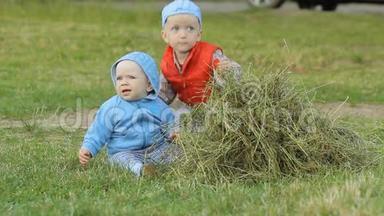 两个男孩互相玩和干草。 不到一年，再过两年