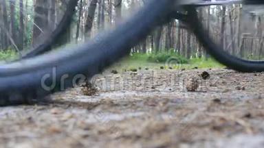两个骑自行车的人开始骑自行车穿过森林小径。 朋友们骑自行车穿过树林。 低角度视图