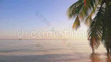 椰子棕榈树对抗蓝色的热带天空和海洋。 暑假。