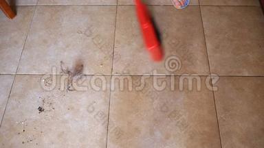 一个女人在厨房、餐厅用刷子和铲子<strong>扫地</strong>。 特写