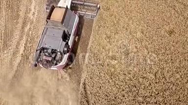 鸟瞰联合收割机收集小麦在日落。 收获麦田，收获季节...美丽的自然