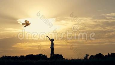 日落时分一个男孩带着风筝在田野上奔跑的剪影
