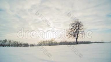 冬天的风景，在孤独的树上，随着阳光的照射，飞云的时间流逝。 时光流逝。