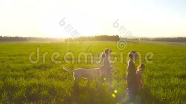 日落时分，三个孩子和一只狗在绿色的田野里散步