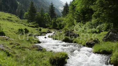 齐勒塔尔阿尔卑斯山流经森林和山脉。 霍赫陶恩国家公园。