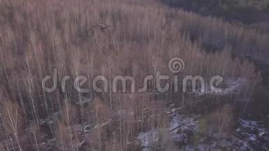 无人驾驶飞机在树木上方飞行，并在晴天拍摄冬季或春季森林景观的视频