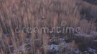 无人驾驶<strong>飞机</strong>在树木上方<strong>飞行</strong>，并在晴天拍摄冬季或春季森林景观的<strong>视频</strong>