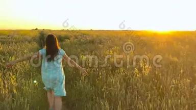 美丽的女孩在日落的天空上<strong>奔跑</strong>在绿色的麦田上。 <strong>自由</strong>概念。 日落时的麦田