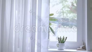 一个年轻的女人在阳光明媚的早晨关上窗帘。 慢动作。