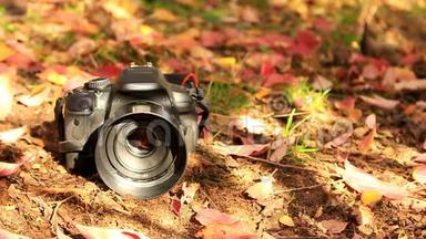 在一架黑色的<strong>单反相机</strong>上躺在地上，秋天的树叶飘落