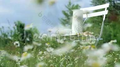 在洋甘菊的草坪上，蓝天映衬着<strong>一把</strong>白色的<strong>椅子</strong>。上面有一个白色的罐子，一个白色的杯子