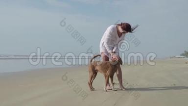 海边<strong>牵着狗</strong>的年轻女子。4公里