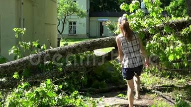 女房主在暴风雨后走过倒下的树。
