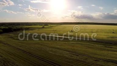 鸟瞰，田野，俄罗斯，夏季，黑麦，收获，作物，2017年