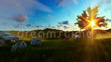 两匹马在绿色的草地和<strong>生命之树</strong>上，美丽的阳光