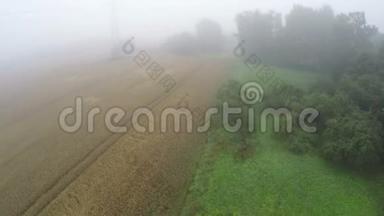 雾蒙蒙的早晨，俯瞰农田和农田以及树木