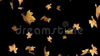 秋天的叶子掉落<strong>带</strong>有alpha<strong>通道</strong>环夹.. 可以使用此剪辑作为背景或覆盖在您的图像，视频项目