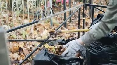 一个女人把干黄的叶子放进<strong>垃圾</strong>袋里。 用耙子<strong>清理</strong>领土。