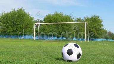 草地上的足球，背景是一个足球门