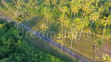 普吉岛椰子棕榈树种植园的小路。 热带高<strong>清空</strong>中鸟瞰场景.. 泰国。