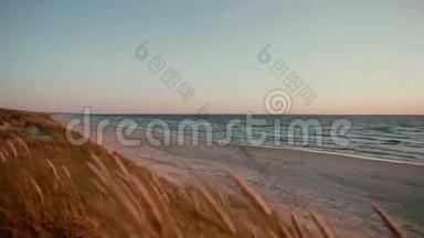 沙滩上写着文字和一颗心，沙丘上覆盖着青草，在一个美丽的夜晚在海上