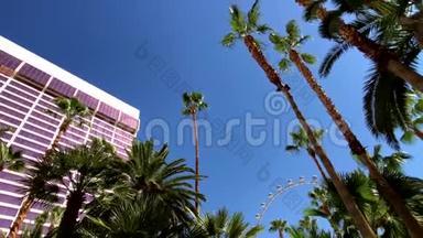 俯瞰棕榈和酒店建筑蓝天。