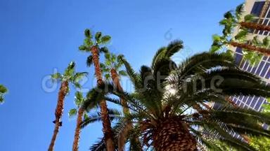俯瞰棕榈和酒店建筑蓝天。