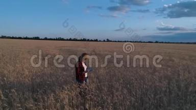 一个女农民监测小麦作物。 空中勘测。 <strong>麦田</strong>俯视图.. 4K慢动作<strong>视频</strong>