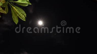 超高清4K时间推移的满月夜间景观与梅花树叶。 黑暗场景时间流逝。 巴厘岛。