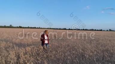 一个女农民监测小麦作物。 空中勘测。 <strong>麦田</strong>俯视图.. 4K慢动作<strong>视频</strong>