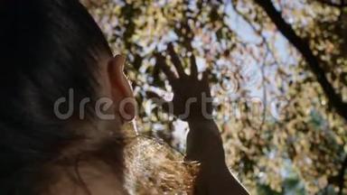 年轻女子举起手在秋树上<strong>晒太阳</strong>。