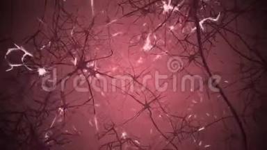 大脑中的神经元。 神经网络3D循环动画
