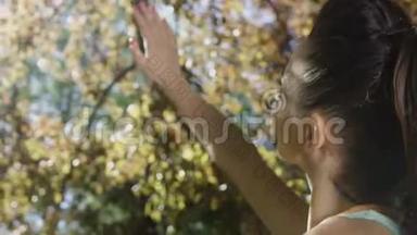 年轻女子举起手在秋树上<strong>晒太阳</strong>。
