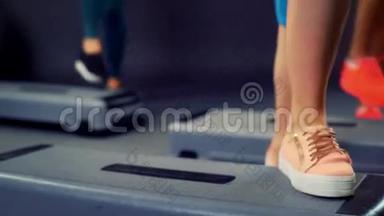 在阶梯健美操的训练中可以看到身体不同<strong>部位</strong>的腰臀腿..