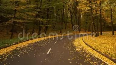 沥青路在秋林，缓慢，<strong>平稳</strong>的无人机飞行.. 秋天森林里的沥青路，缓慢<strong>平稳</strong>的无人机飞行