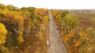 沥青路在秋林，缓慢，平稳的无人机飞行.. 秋天森林里的沥青路，缓慢平稳的无人机飞行