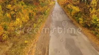 沥青路在秋林，缓慢，平稳的无人机飞行.. 秋天森林里的沥青路，缓慢平稳的无人机飞行