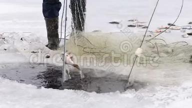 渔民把鱼从冰冻池塘的洞里拉出来。