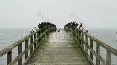 一群在波罗的海小镇萨斯尼茨的长<strong>廊桥</strong>上休息。 德国鲁根岛