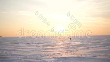 海鸥坐在冰封的海面上。 海鸥飞过冬天的大海.. 白色的大海鸥飞过
