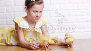 一个穿着黄色裙子的小<strong>可爱</strong>女孩正在和三只黄色的<strong>小鸭</strong>子玩，用草药喂它们。 <strong>小鸭</strong>子