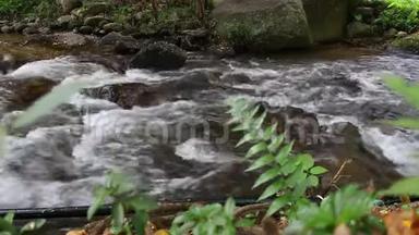 清洁森林的淡水。 小山河。 山里的水。 冬天森林里的河流。 国家公园。 Tok皇家职业介绍所