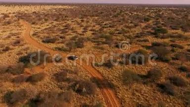 越野车正沿着纳米比亚大草原的小径行驶。