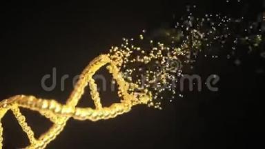 飞的粒子制作<strong>金色DNA</strong>分子模型.. 循环概念三维动画